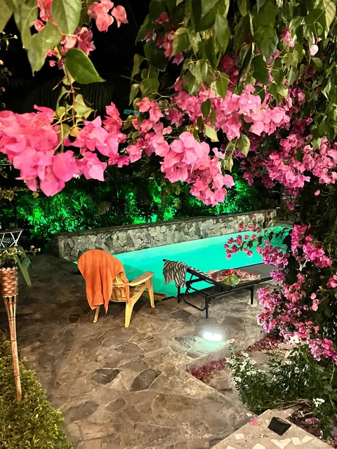 Coziest garden pool in Panama 🌴