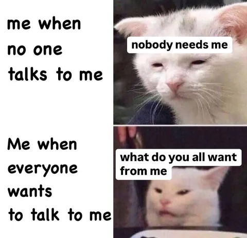 Is there someone similar?