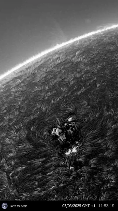 Massive Solar Activity Captured From My Backyard - March 3rd