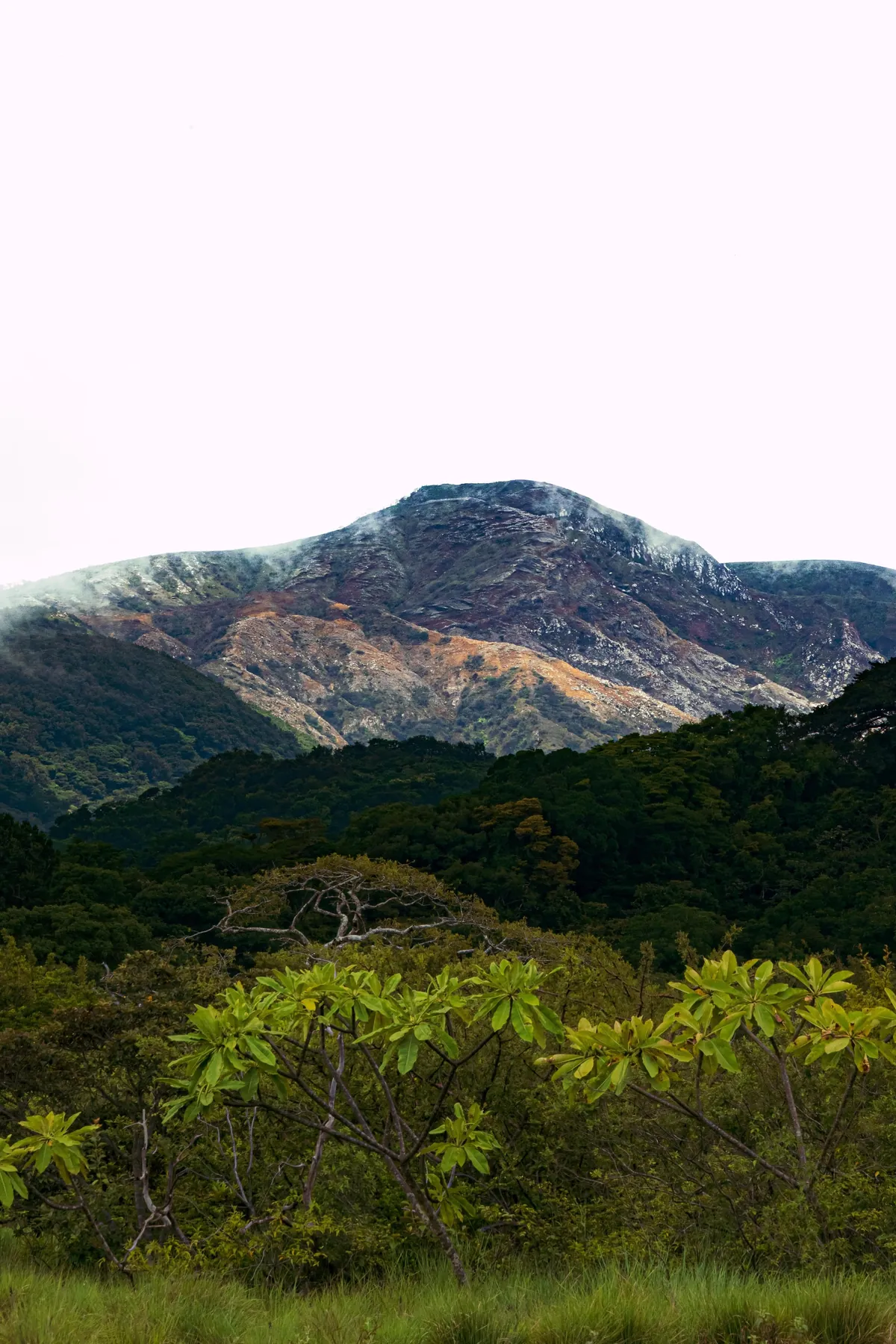 A little slice of pura Vida 📍 Costa Rica