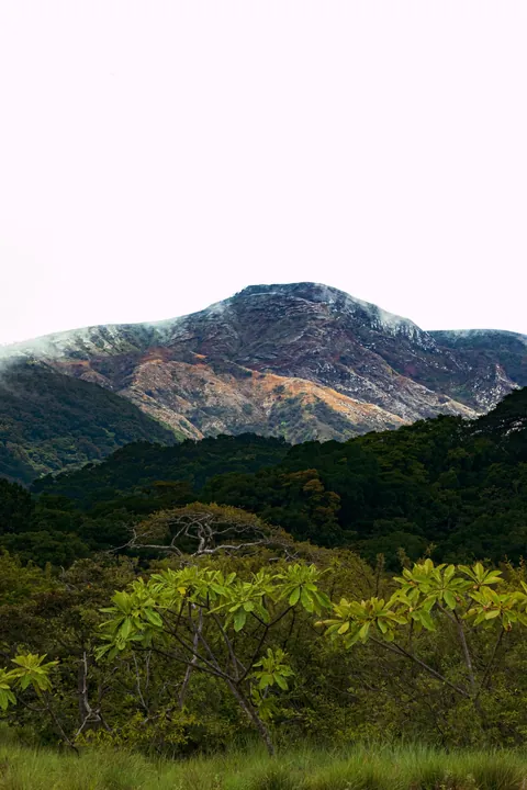 A little slice of pura Vida 📍 Costa Rica
