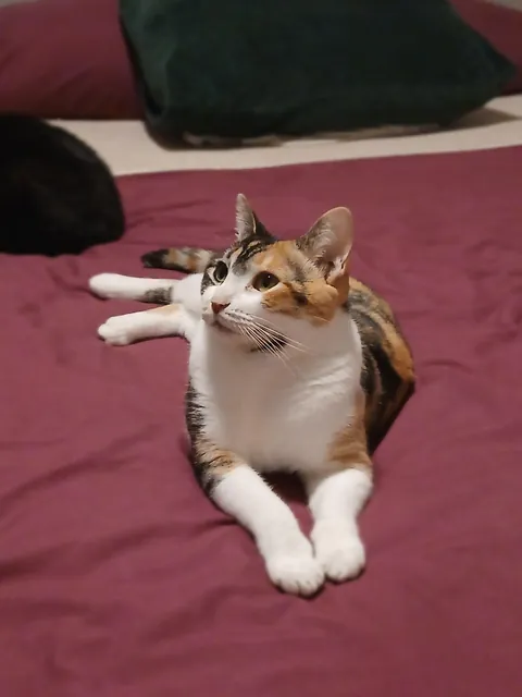 She's just gone. Just like that. Gone.