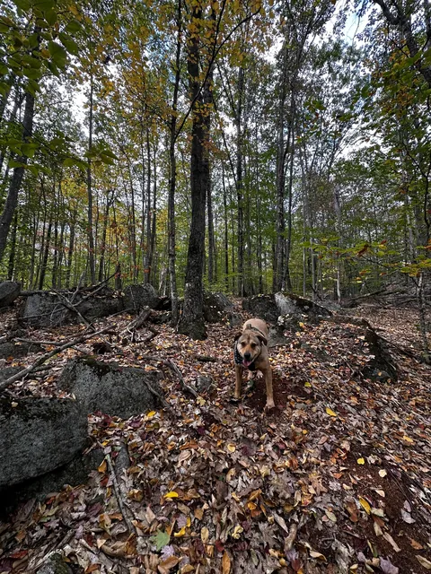 i big lazy baby until i hears ‘hike’