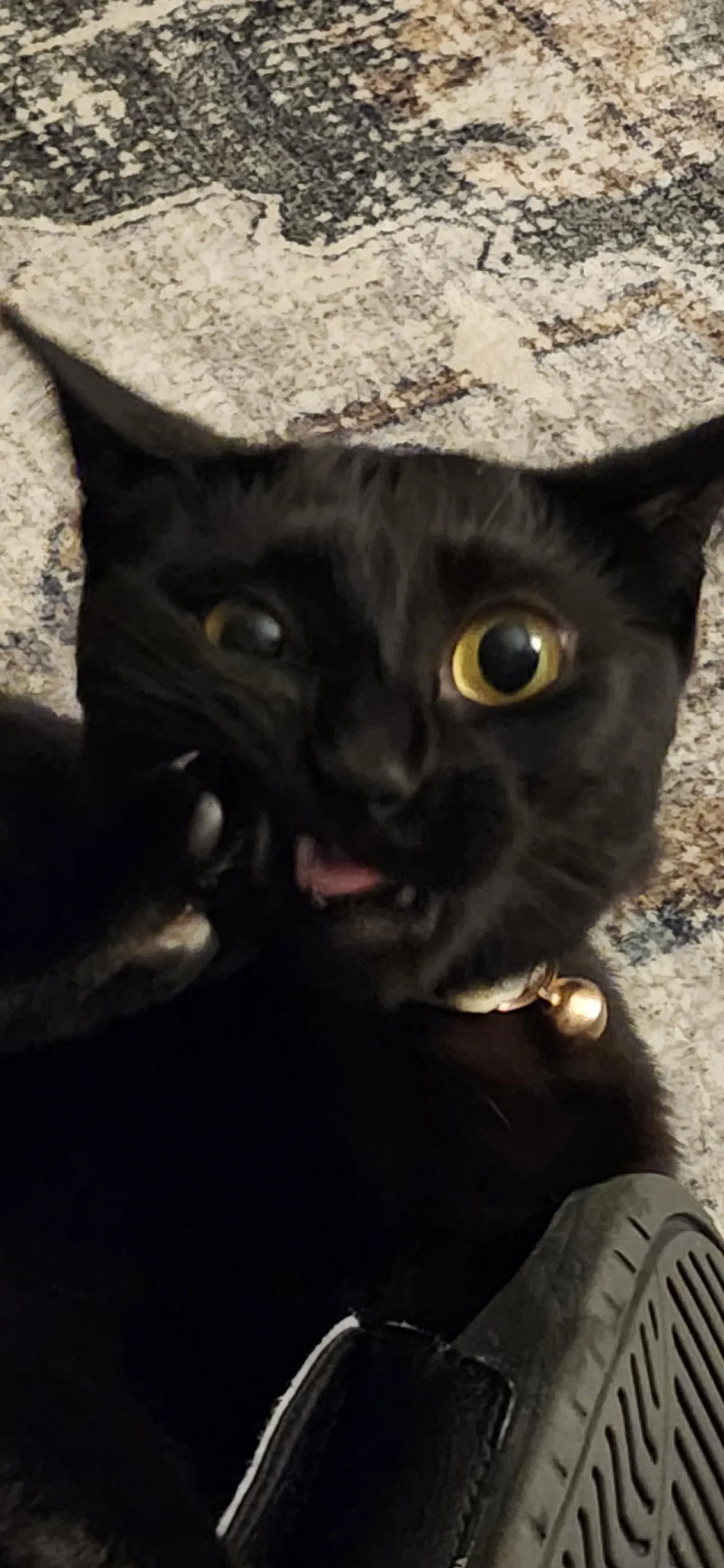 Show me your the goofiest photos you have of your voids! -This is Tilly