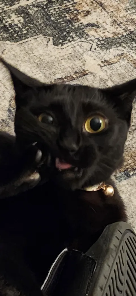 Show me your the goofiest photos you have of your voids! -This is Tilly