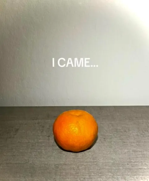 I came, I saw, I conqured