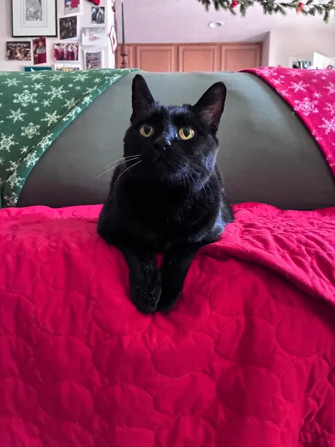 My 18 y.o. void girl