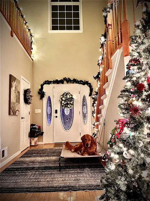 First Christmas in our new house