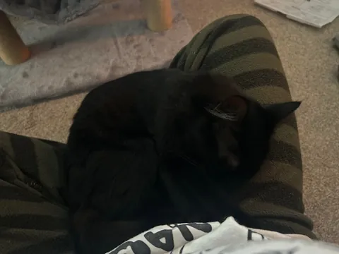 not even 24 hrs after i got her!! we’re having a great time &lt;3