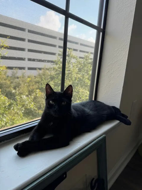 It’s my adopted baby’s first (estimated) birthday!