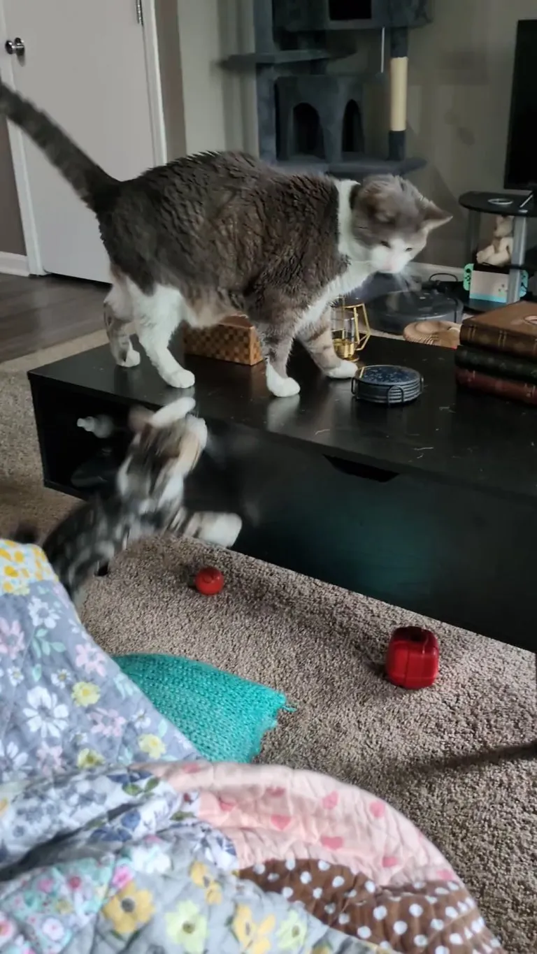 Opinions on this play interaction?