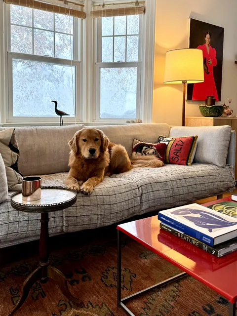 Staying cozy in a blizzard