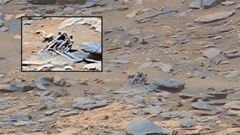 i know Pareidolia is everywhere right now, but what kind of rock is that? SOL 1448