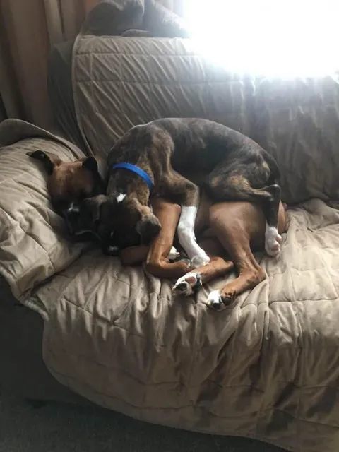 My boys were separated for two years due to a divorce. My ex agreed today that I can keep my 9 year old boy!!!