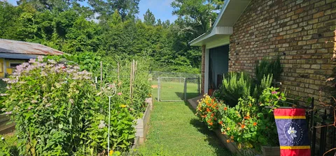 My Wife's Raised Bed Garden Over the Years