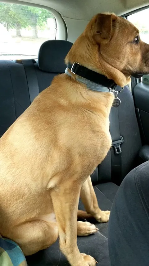 Sometimes he gets excited and can barely contain himself