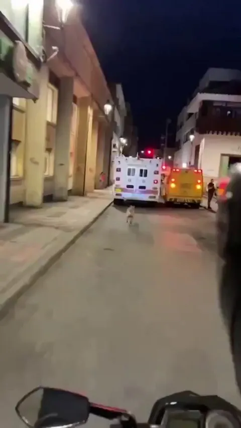A dog was running after the ambulance that was carrying their owner. When the EMS realized it, he was let in.
