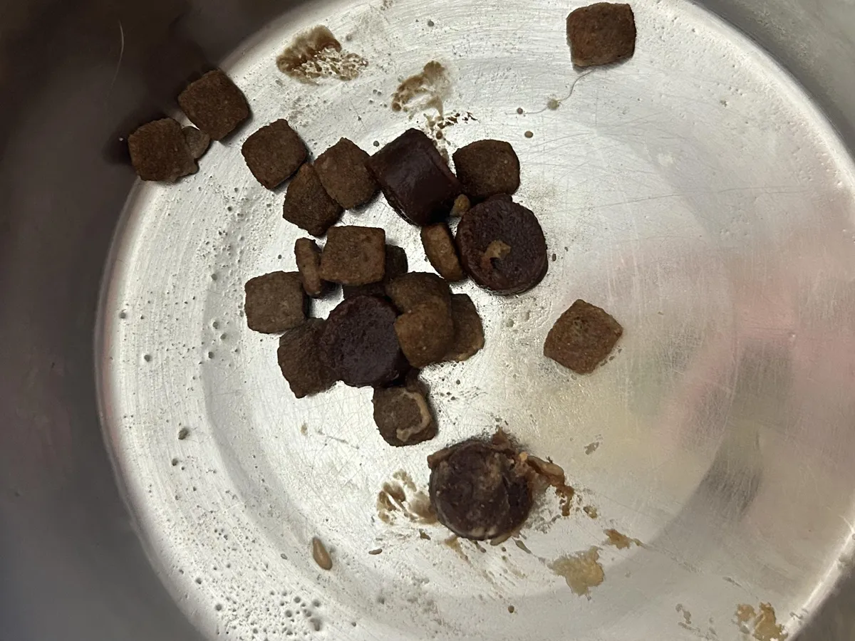 My dog eats around his arthritis meds