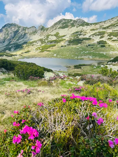 Romania, Retezat mountains