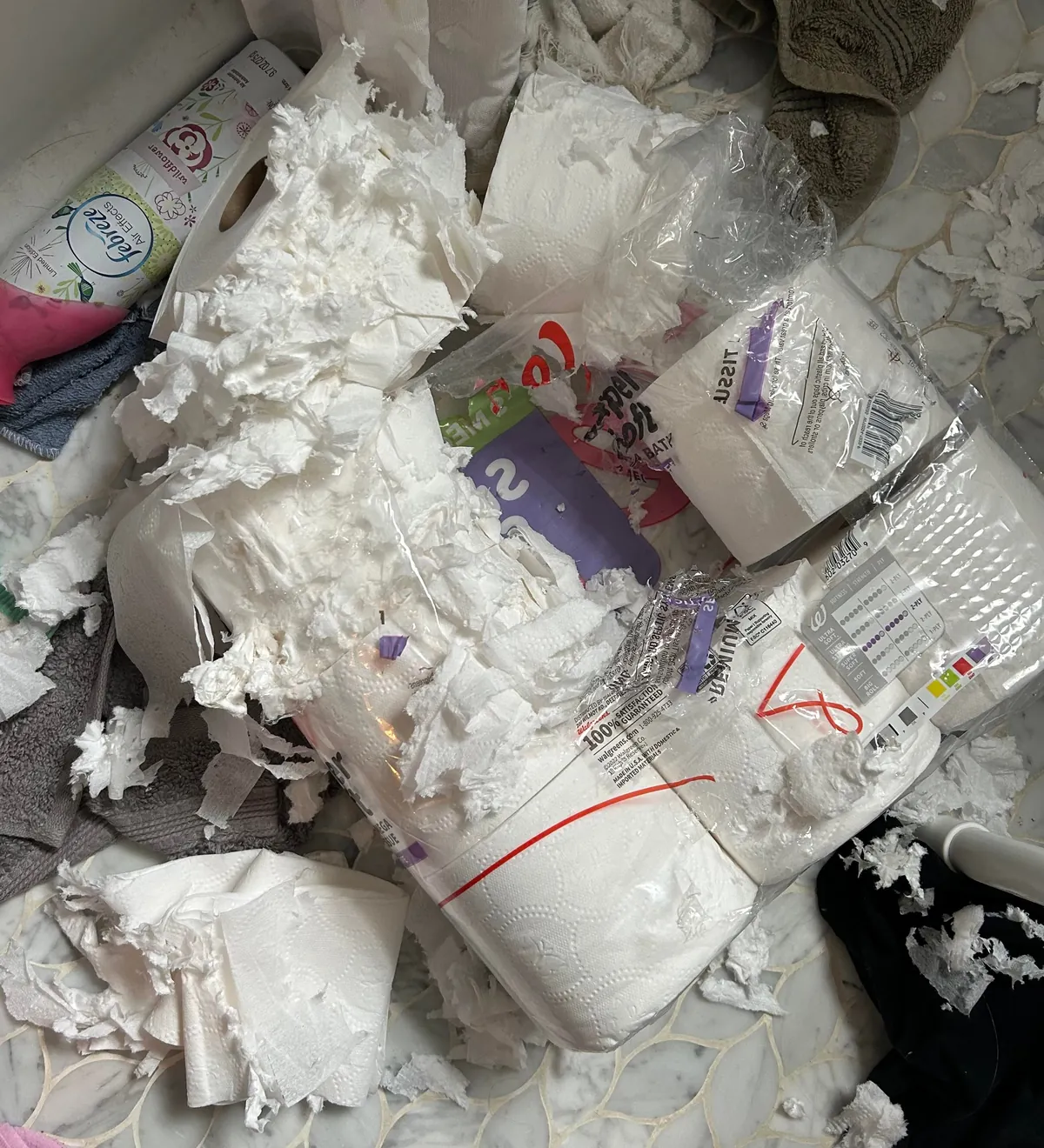 Stella is not the perfect child contrary to popular belief. Don’t let her looks fool you. Lol.