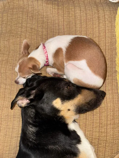 I love my big sister, don’t you?