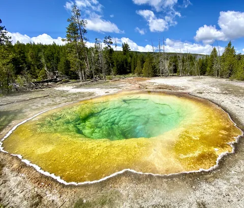 🔥Morning Glory Pool in Yellowstone NP