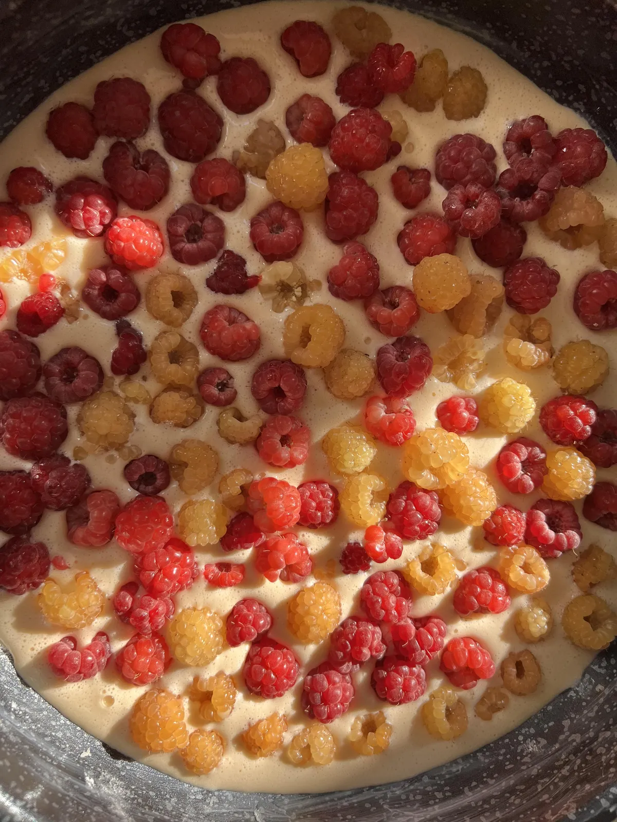 Okay I’m a little obsessed with my pretty raspberries 