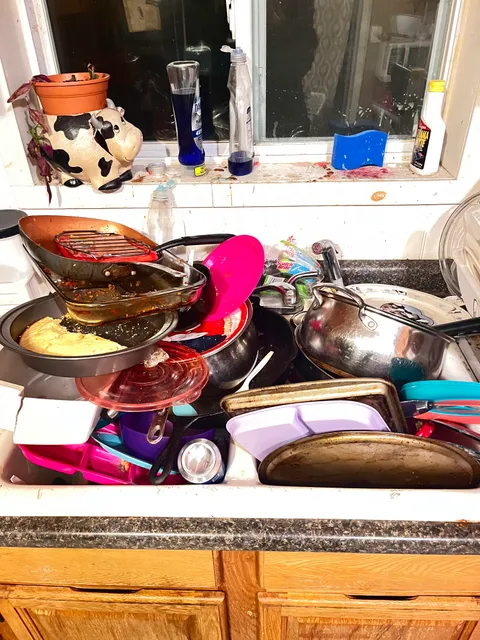 My roommates (both 30+F) refuse to do the dishes they use.