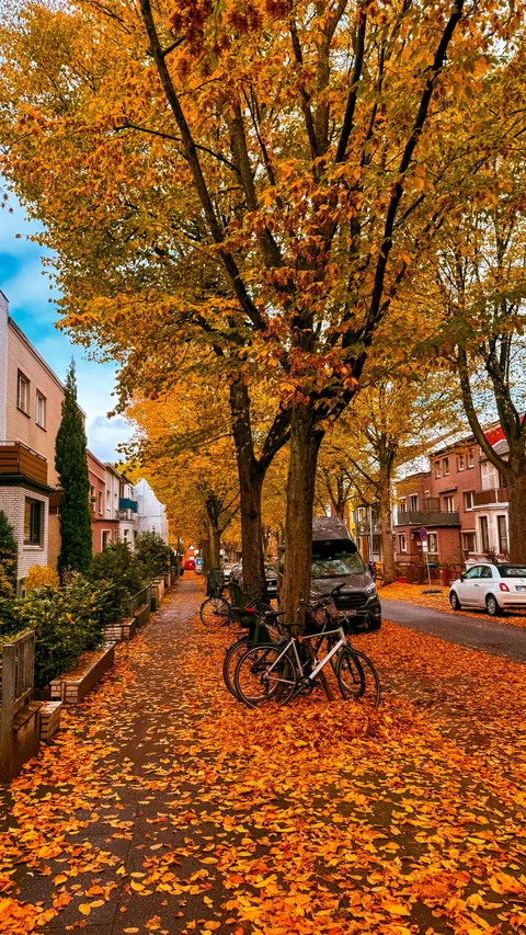 Bikes, bricks, and a blizzard of amber in Hamburg [OC]