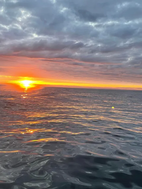Whale Watching in the Midnight Sun in Húsavík, Iceland (June 2025)