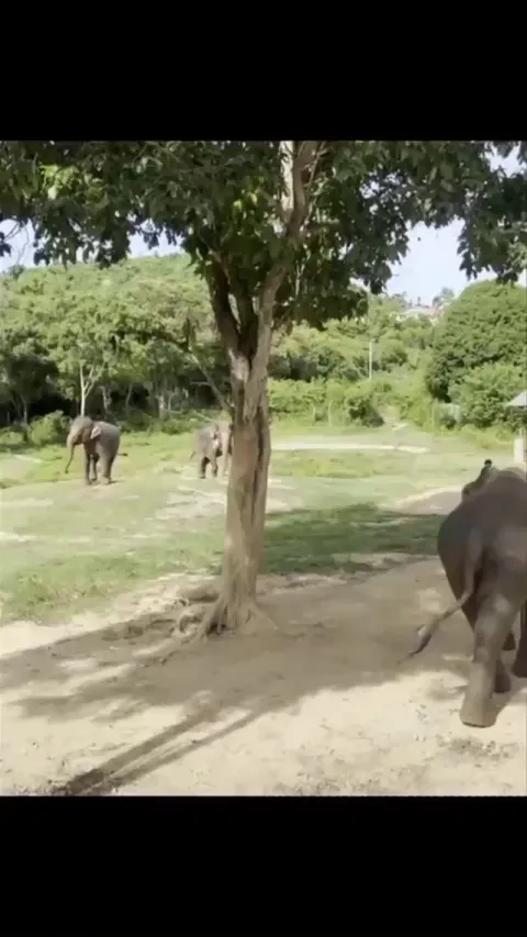 Family is everything. Everyone rushed to help Grandma out when she accidentally slipped.