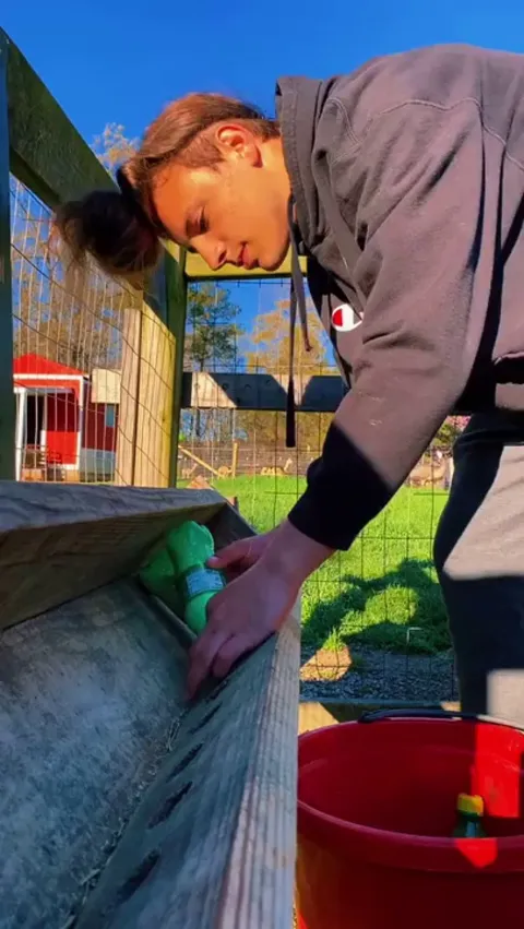 Baby Goats’ morning routine