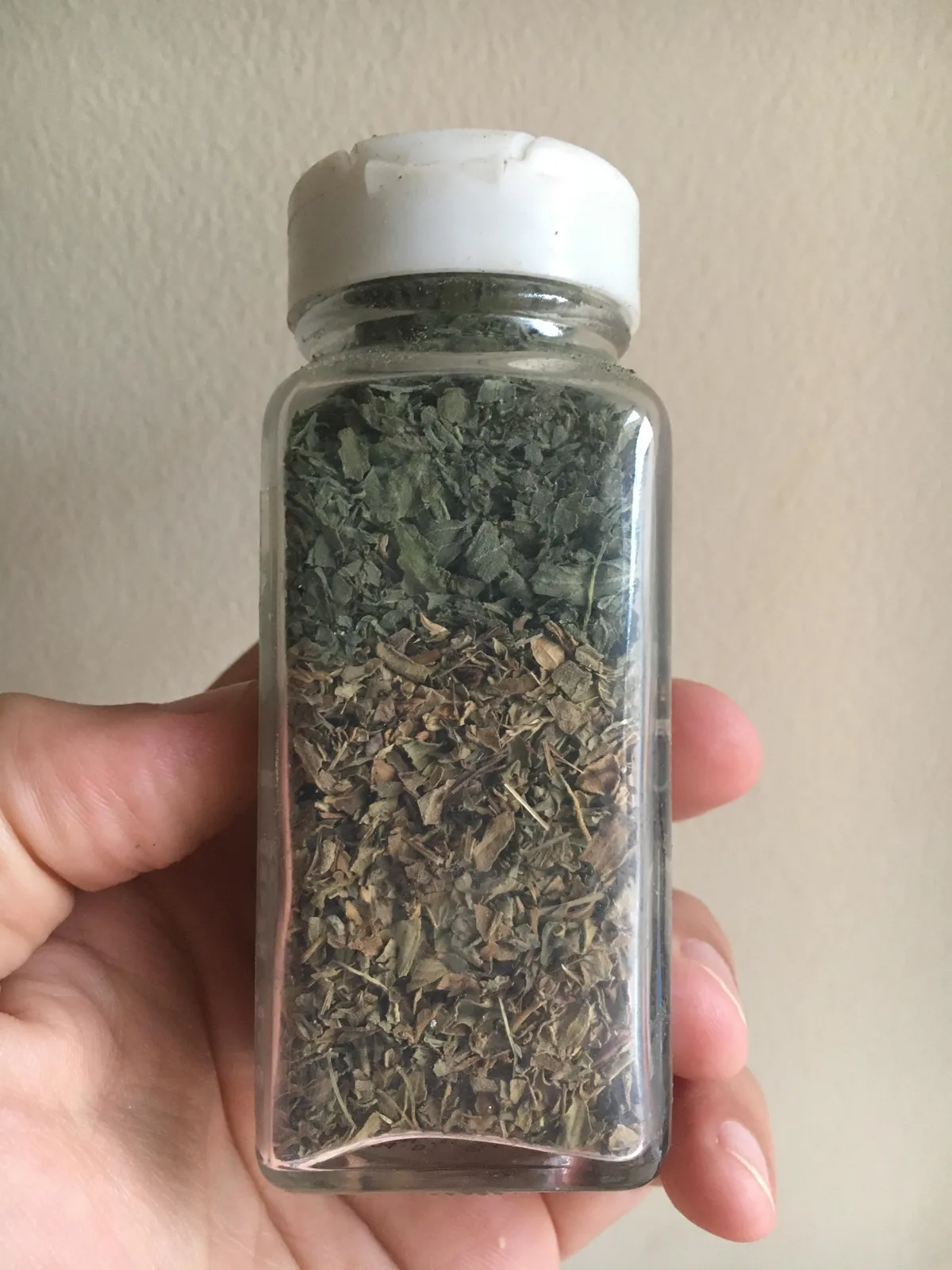 The color difference when I refilled this grocery-store basil with basil from my garden