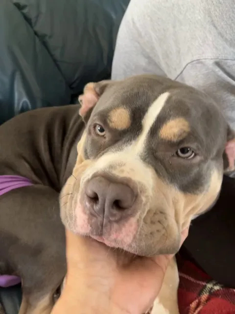 Stinky girl happy snoot snorting 