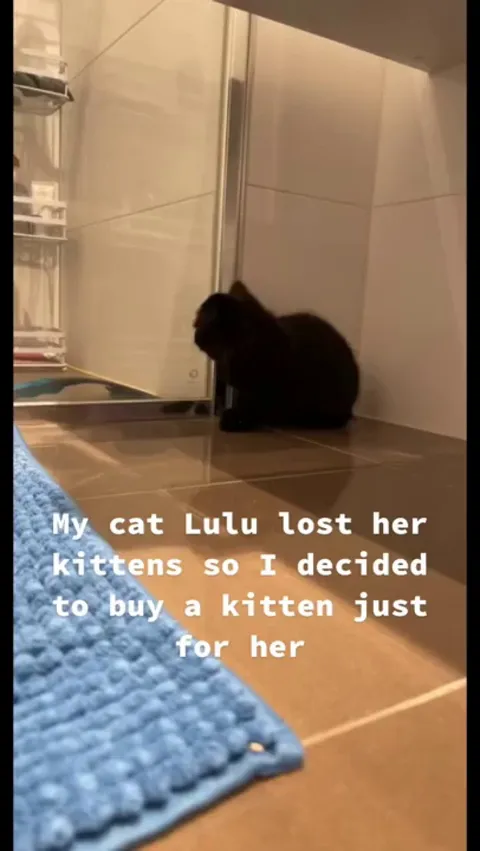 They needed each other