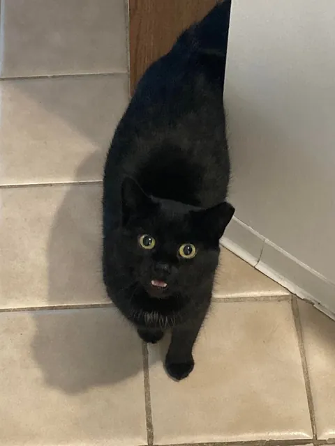 Breakfast is normally served at 8:00 AM on Saturday. Katie helpfully notes that it is 7:55. 