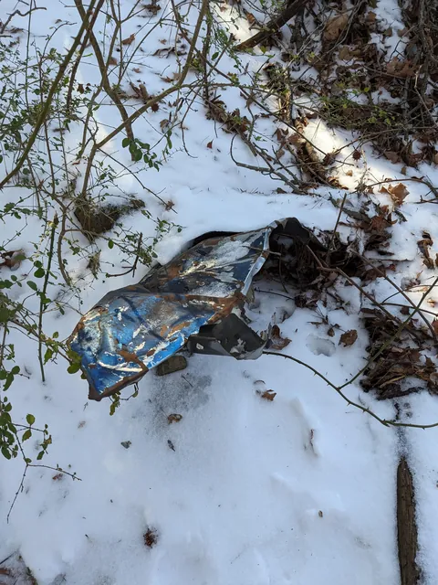 Updates on the sweet ice princess, Elsa!