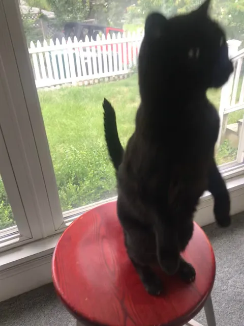 We have been together 19 1/2 years now!