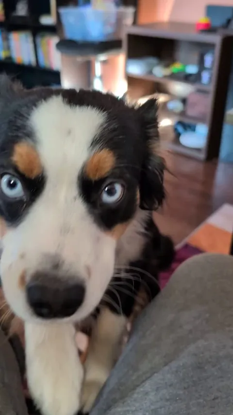 Dad, I am way more interesting than the work you're trying to do