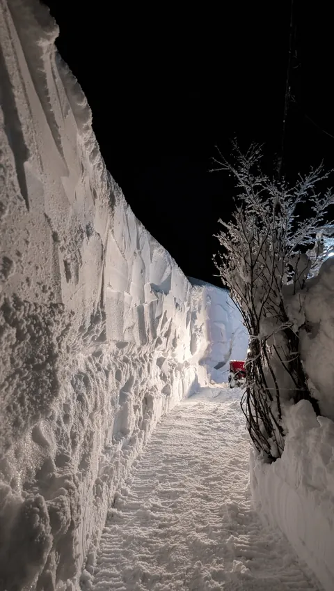 Nagano &amp; Niigata, Japan have gotten an INSANE amount of snow recently !!