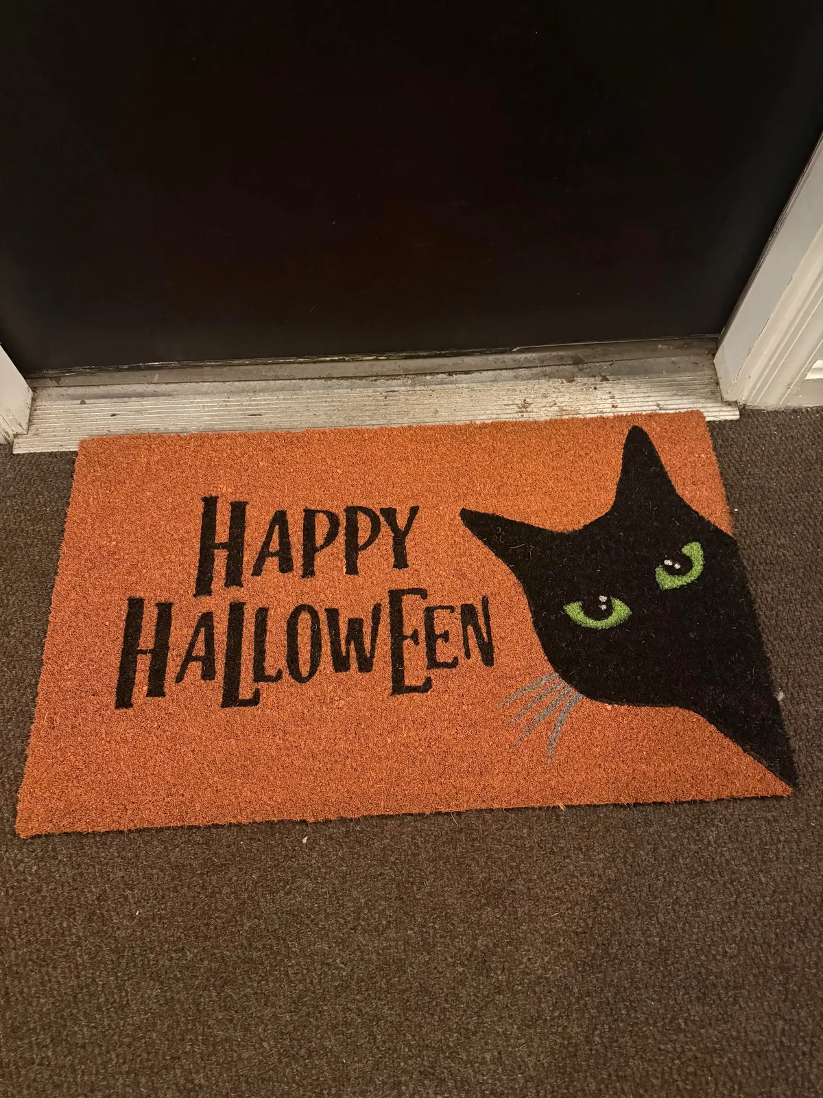 I’ve become black cat obsessed with my little one.