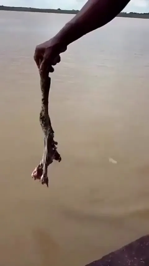 Two guys fishing for piranhas