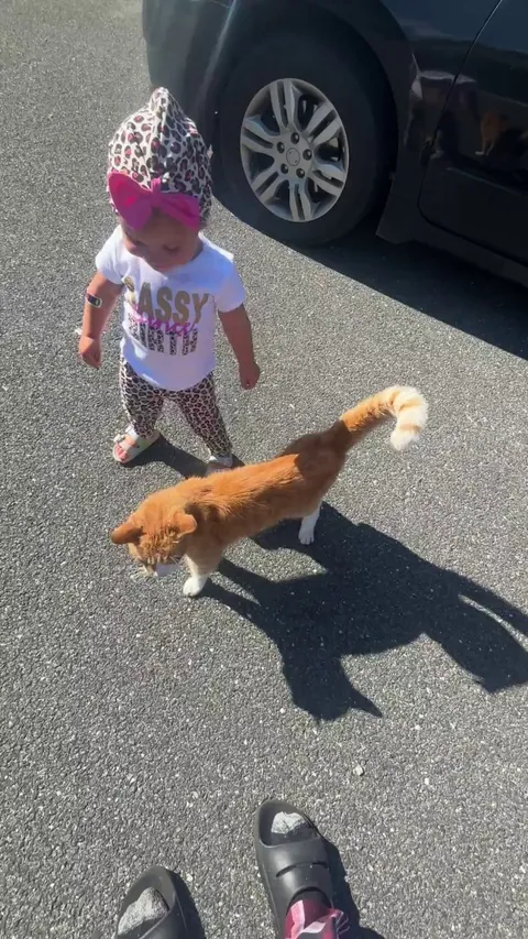 We love saying hi to all the neighborhood cats on our walks 😍