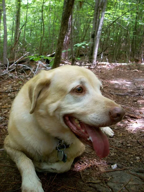 We got him when I was 6. Now I'm 20 he's 14 and I couldn't have asked for a better friend to grow up with.