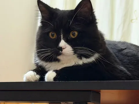 First day at home(5.19) ~Now (12.16)