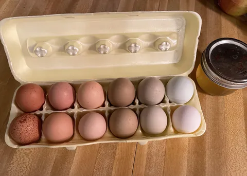 My friend raises chickens and gave me a variety pack the other day. 