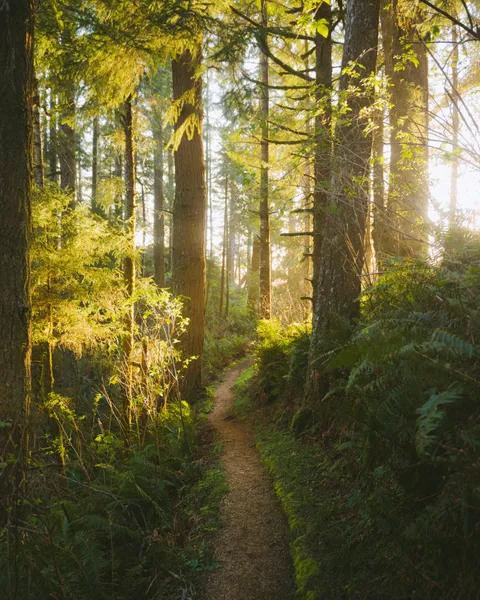 Took a roadtrip down to Southern Oregon to escape the grey days in Seattle.. definitely worth the drive [OC] [3200 x 4000]