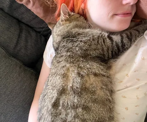 Nap trapped by my own cat