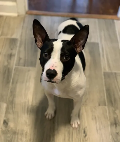 Stop messing with me and put food in my tummy