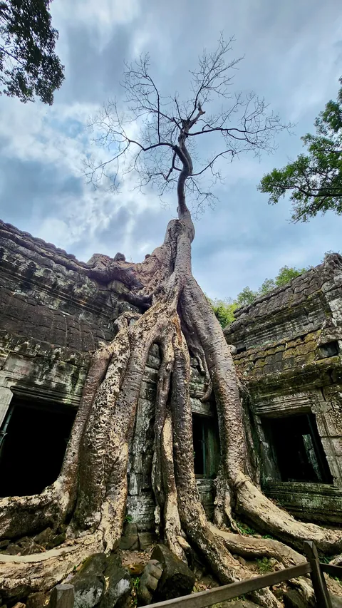 Angkor Wat (Ancient city) - Cambodia, Apr 25